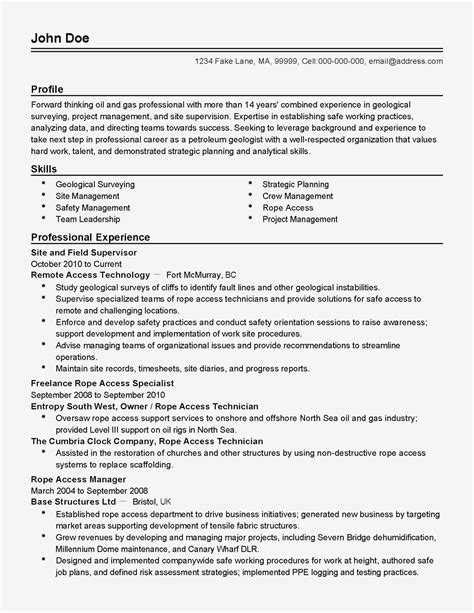 fake resumes